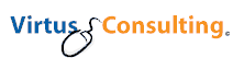 Virtus Consulting